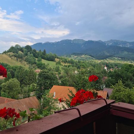 Vila Muntii Bucegi & Spa Bran  Bagian luar foto