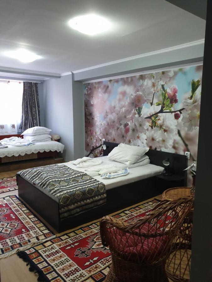 Vila Muntii Bucegi & Spa Bran  Bagian luar foto