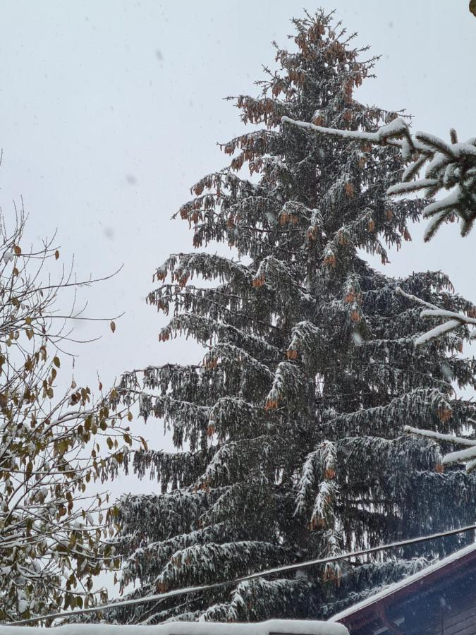 Vila Muntii Bucegi & Spa Bran  Bagian luar foto
