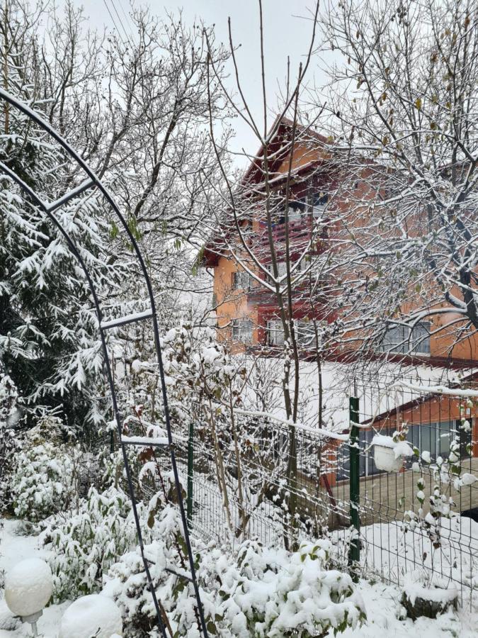 Vila Muntii Bucegi & Spa Bran  Bagian luar foto