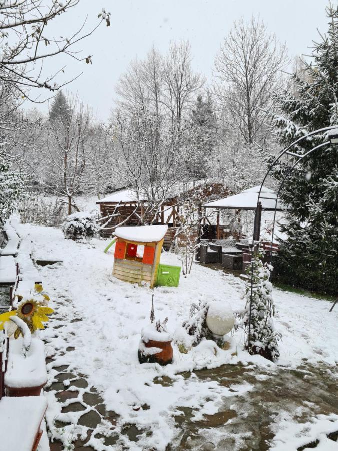 Vila Muntii Bucegi & Spa Bran  Bagian luar foto