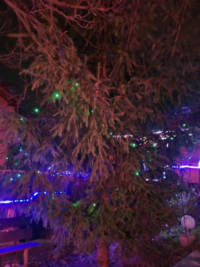 Vila Muntii Bucegi & Spa Bran  Bagian luar foto