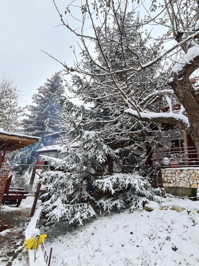 Vila Muntii Bucegi & Spa Bran  Bagian luar foto