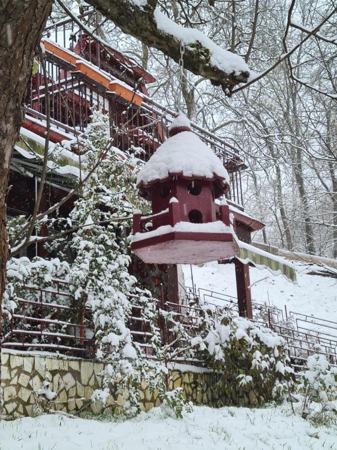 Vila Muntii Bucegi & Spa Bran  Bagian luar foto