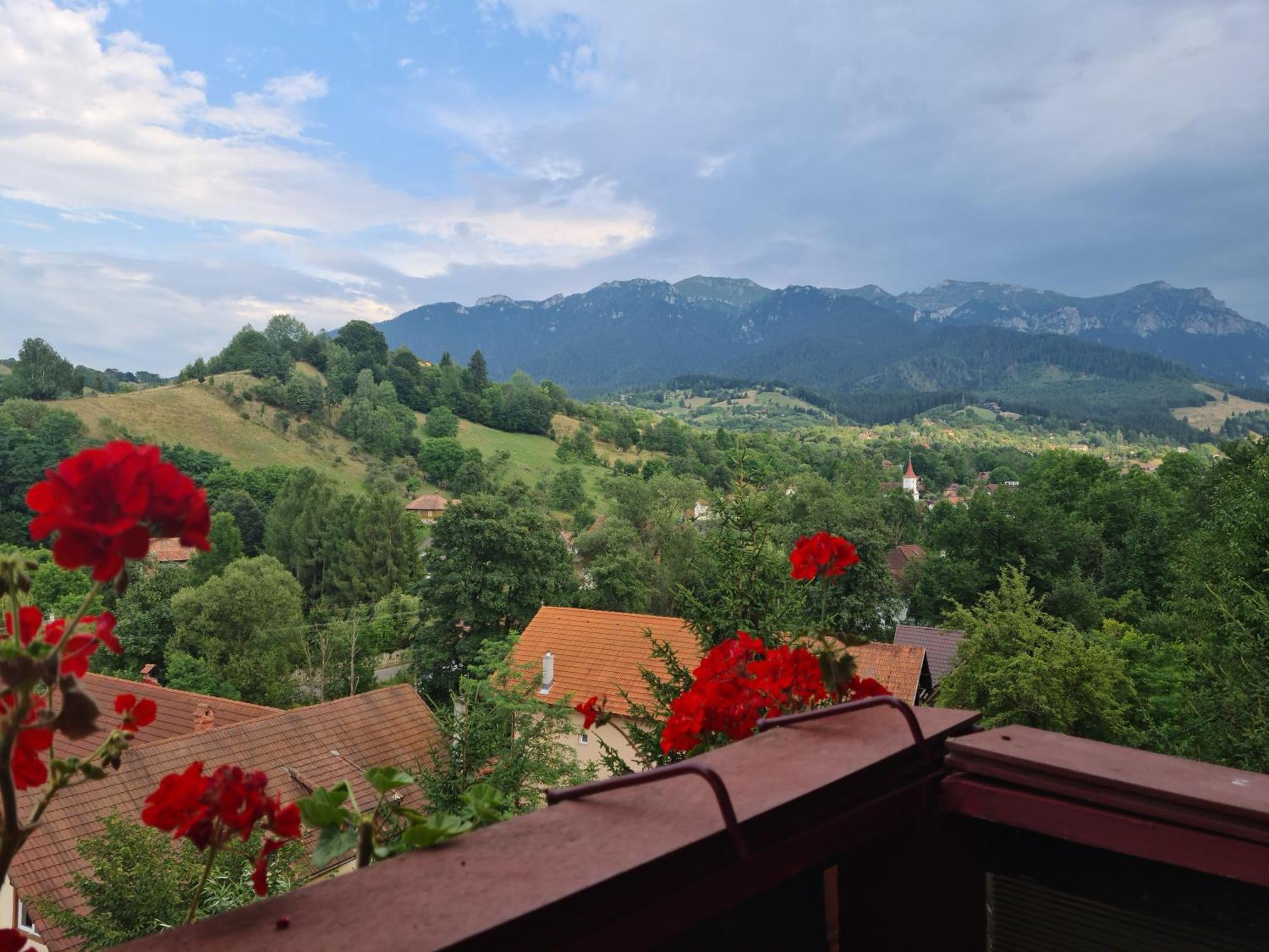 Vila Muntii Bucegi & Spa Bran  Bagian luar foto