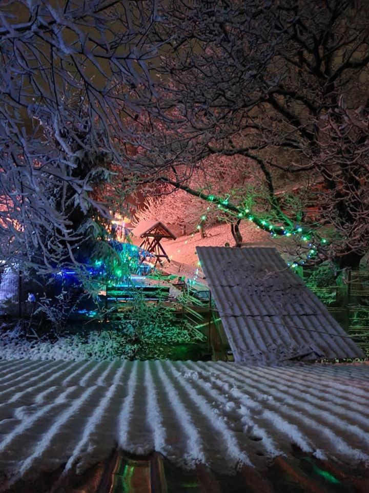 Vila Muntii Bucegi & Spa Bran  Bagian luar foto