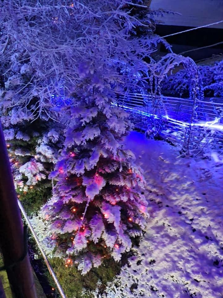 Vila Muntii Bucegi & Spa Bran  Bagian luar foto
